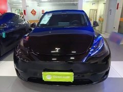 Tesla Model Y Long Range All-Wheel Drive - ფოტო 3