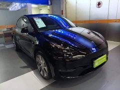 Tesla Model Y Long Range All-Wheel Drive - ფოტო 4
