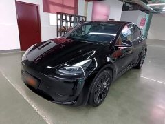 Tesla Model Y Rear-Wheel Drive - ფოტო 1
