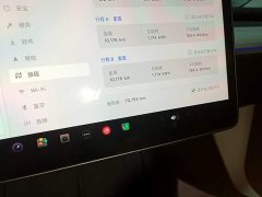 Tesla Model Y Rear-Wheel Drive - ფოტო 12