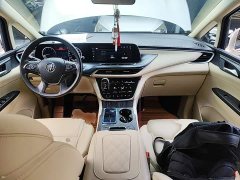 Buick GL8 ES Luxe 653T Prestige - ფოტო 10