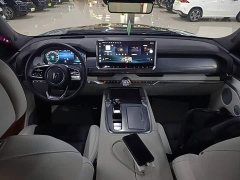 Tank 700 Hi4-T Edition One 2024 - ფოტო 10