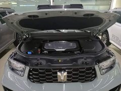 Tank 700 Hi4-T Edition One 2024 - ფოტო 20