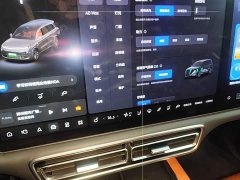 Li Auto L9 2022 Max - ფოტო 13