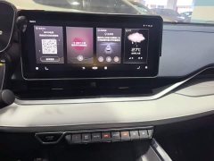 Geely Xingrui 2021 Facelift 2.0T Diesel Premium - ფოტო 13