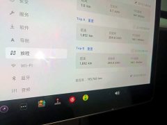 Tesla Model 3 Standard Range RWD Upgrade - ფოტო 12