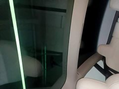 Tesla Model 3 Standard Range RWD Upgrade - ფოტო 18