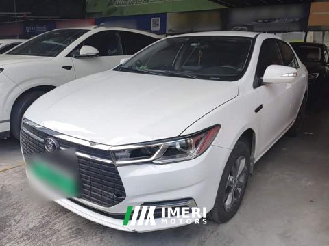 2022 BYD Qin EV 2021 Standard Edition - ავტომობილი ჩინეთიდან