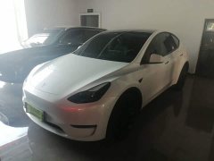 Tesla Model Y Long Range All-Wheel Drive - ფოტო 1