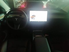 Tesla Model Y Long Range All-Wheel Drive - ფოტო 10