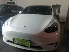 Tesla Model Y Long Range All-Wheel Drive - ფოტო 3