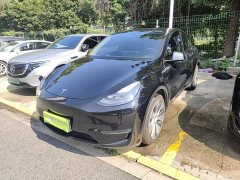 Tesla Model Y Long Range All-Wheel Drive - ფოტო 1