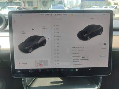 Tesla Model Y Long Range All-Wheel Drive - ფოტო 12