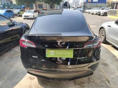 Tesla Model Y Long Range All-Wheel Drive - ფოტო 6