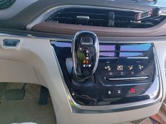 Buick GL8 Land Executive Cabin 652T Luxury - ფოტო 14