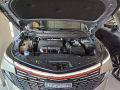 Haval Mythical Beast 2.0T Smart Edition - ფოტო 20