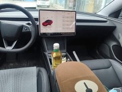 Tesla Model 3 Rear-Wheel Drive - ფოტო 13