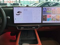 Li Auto L6 Pro - ფოტო 13