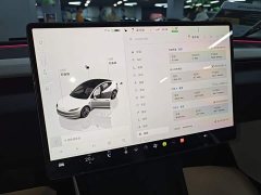 Tesla Model 3 2023 Rear-Wheel Drive - ფოტო 12