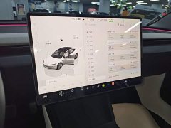 Tesla Model 3 2023 Rear-Wheel Drive - ფოტო 13