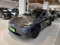 Tesla Model Y Rear-Wheel Drive - ფოტო 1