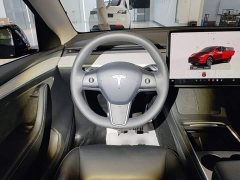 Tesla Model Y Rear-Wheel Drive - ფოტო 11