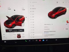 Tesla Model Y Rear-Wheel Drive - ფოტო 12