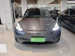 Tesla Model Y Rear-Wheel Drive - ფოტო 3