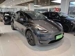 Tesla Model Y Rear-Wheel Drive - ფოტო 4