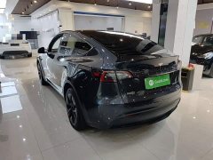 Tesla Model Y Rear-Wheel Drive - ფოტო 5