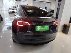 Tesla Model Y Rear-Wheel Drive - ფოტო 6
