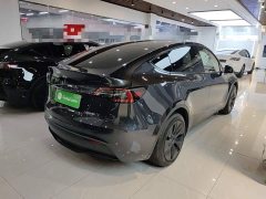 Tesla Model Y Rear-Wheel Drive - ფოტო 7