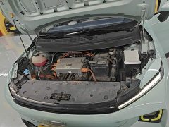 Geely Geometry E Firefly 2022 320KM Cute Tiger 4-Seater - ფოტო 20