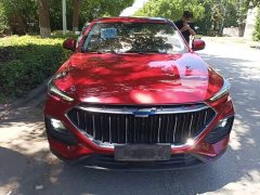 Changan Oushan X5 1.5T DCT Luxury - ფოტო 3