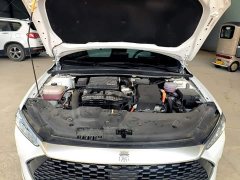 BYD Qin PLUS 2024 Glory Edition DM-i 55KM Leading - ფოტო 20