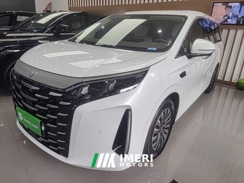 2025 BYD Summer DM-i 1.5T 180km Exceed - ავტომობილი ჩინეთიდან