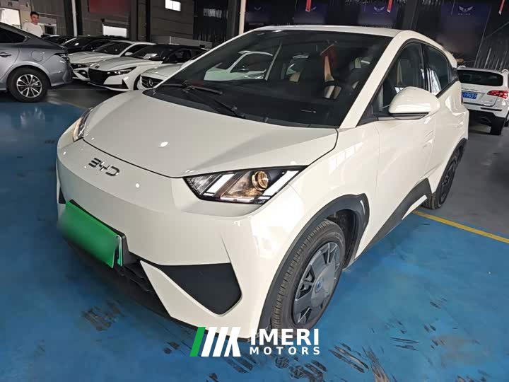 BYD Seagull 2025 Smart Drive 305km Vitality Edition - ავტომობილი ჩინეთიდან