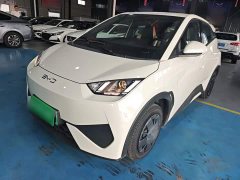 BYD Seagull 2025 Smart Drive 305km Vitality Edition - ფოტო 1