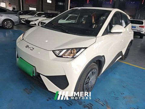 2026 BYD Seagull 2025 Smart Drive 305km Vitality Edition - ავტომობილი ჩინეთიდან