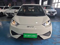 BYD Seagull 2025 Smart Drive 305km Vitality Edition - ფოტო 3