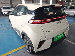 BYD Seagull 2025 Smart Drive 305km Vitality Edition - ფოტო 5