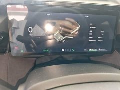 Lynk & Co Geely Lynk & Co 08 EM-P 2023 220km AWD Performance Halo - ფოტო 12