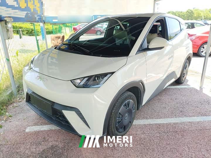 BYD Seagull Glory Edition 305km Vitality Version - ავტომობილი ჩინეთიდან
