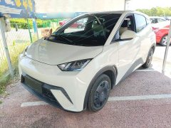 BYD Seagull Glory Edition 305km Vitality Version - ფოტო 1