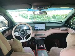 BYD Seagull Glory Edition 305km Vitality Version - ფოტო 10