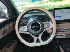 BYD Seagull Glory Edition 305km Vitality Version - ფოტო 11