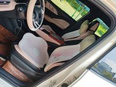 BYD Seagull Glory Edition 305km Vitality Version - ფოტო 15