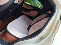 BYD Seagull Glory Edition 305km Vitality Version - ფოტო 17