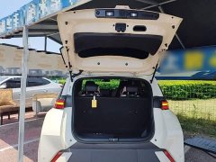 BYD Seagull Glory Edition 305km Vitality Version - ფოტო 19