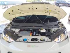BYD Seagull Glory Edition 305km Vitality Version - ფოტო 20